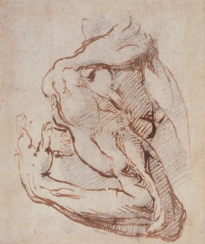 Estudio de un brazo de Michelangelo Buonarroti